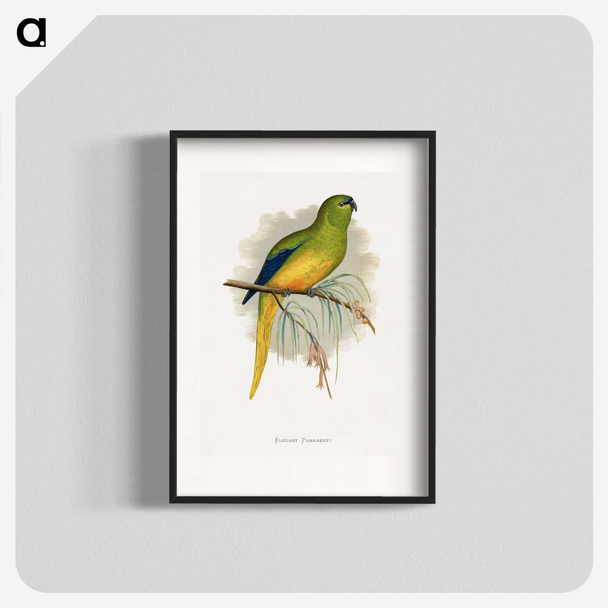 1-76_Parrots-in-Captivity_blk