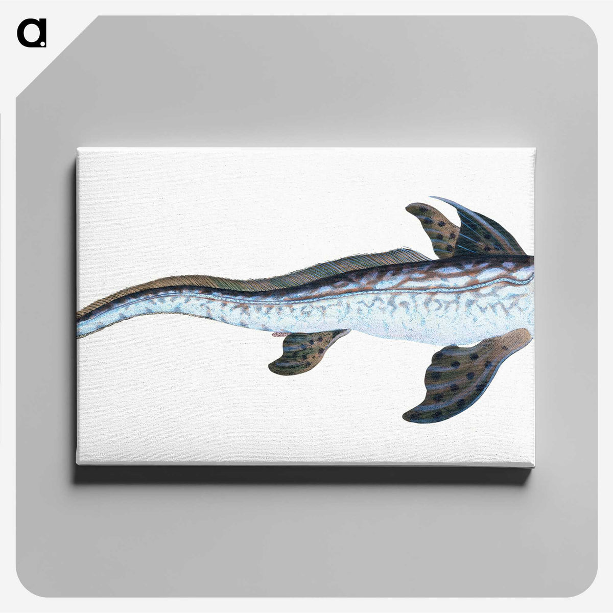 1-76_The-Natural-History-of-British-Fishes_canvas