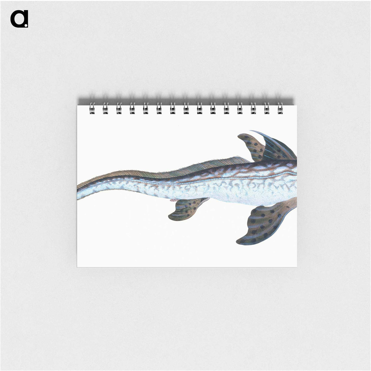 1-76_The-Natural-History-of-British-Fishes_memo