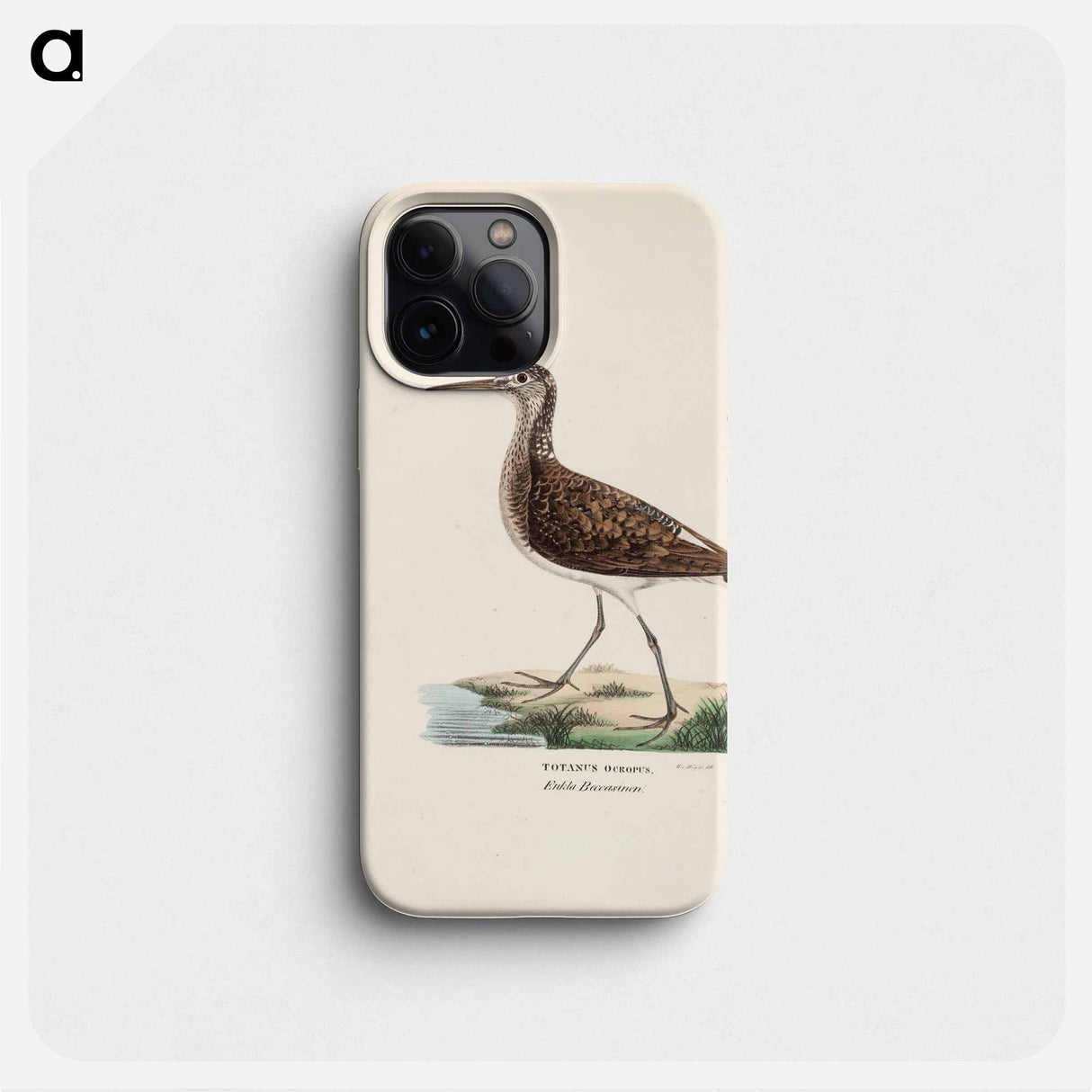 Green sandpiper - Wilhelm von Wright Phone Case.
