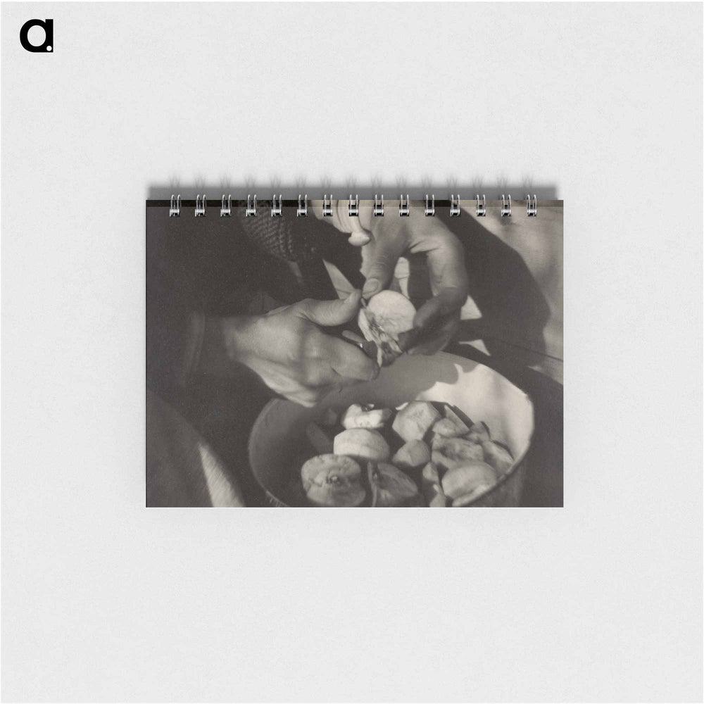 Georgia O’Keeffe—Hands - アルフレッド スティーグリッツ Memo.