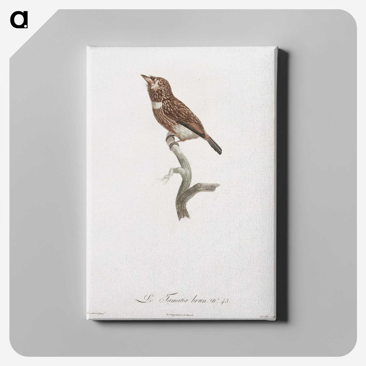 1-77_Des-Oiseaux-de-Paradis_canvas