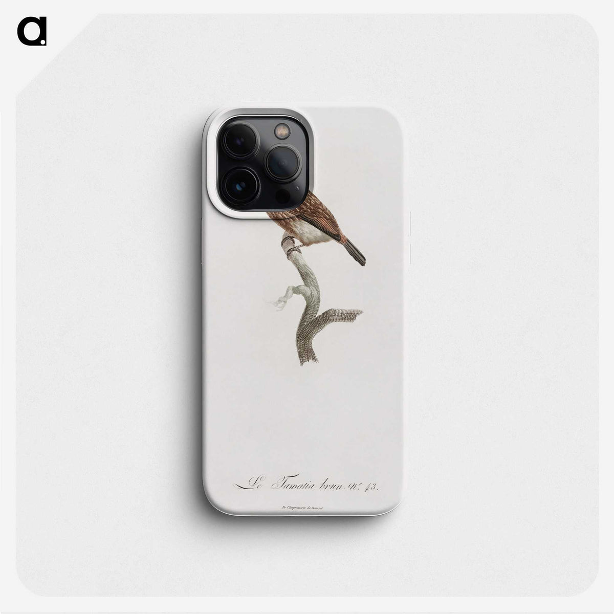 1-77_Des-Oiseaux-de-Paradis_phone