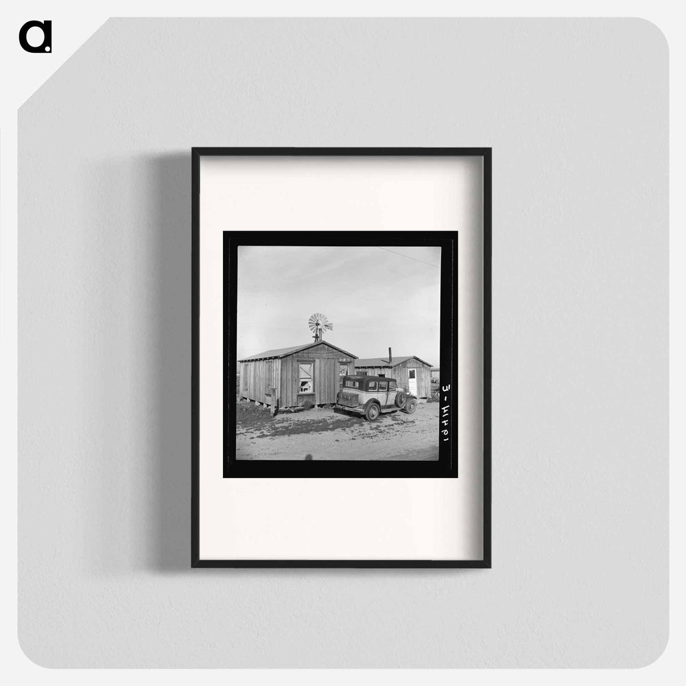 Cabins which rent for ten dollars a month - Dorothea Lange Poster.