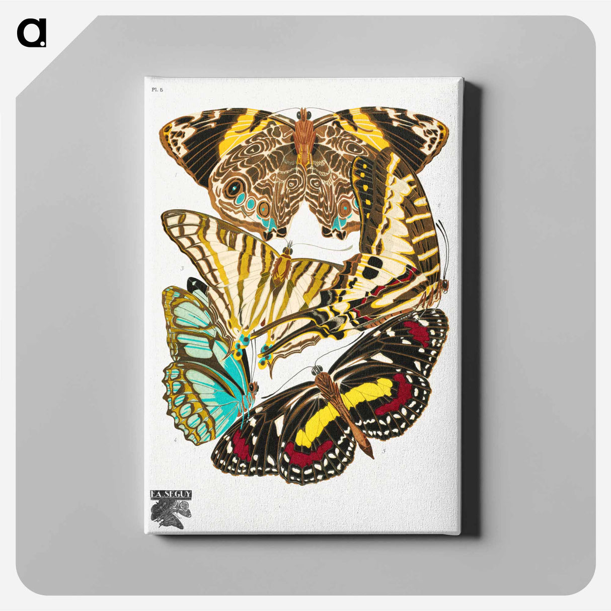 E.A. Séguy's vintage butterflies - E.A.セギー Canvas.