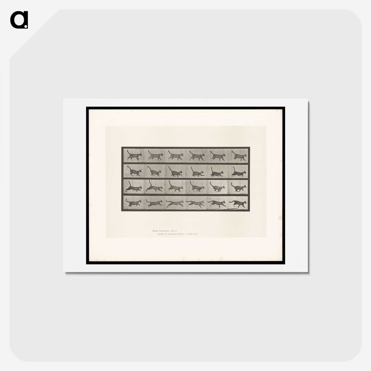 1-77_Eadweard-Muybridge_hagaki