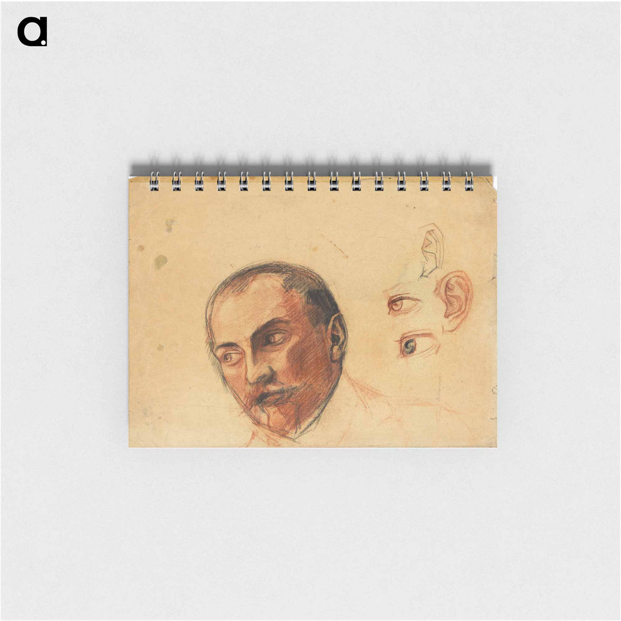 Study Sheet (Head, Eyes, Ears) - エゴン シーレ Memo.