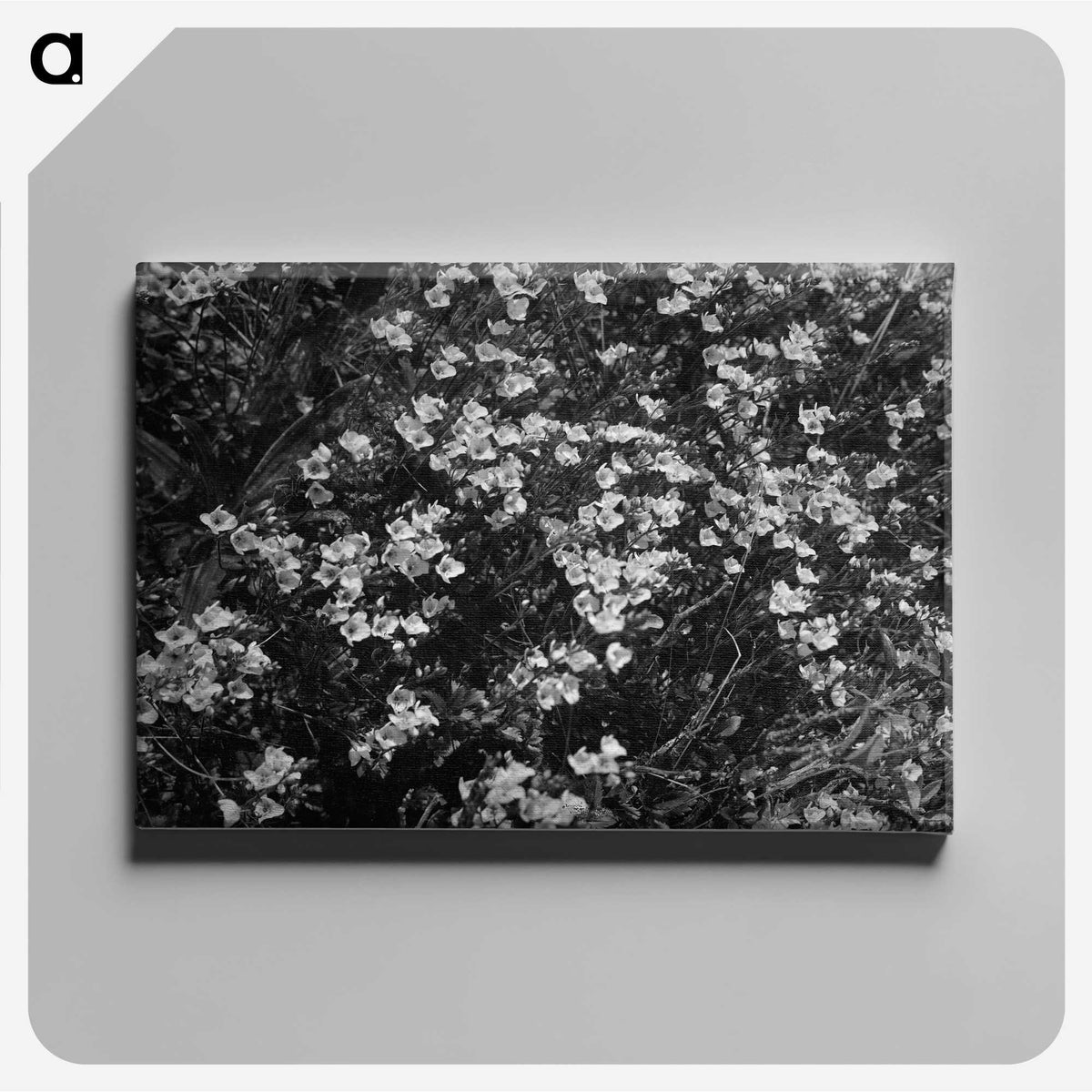 1-77_Frederick-Charles-Brockett_canvas