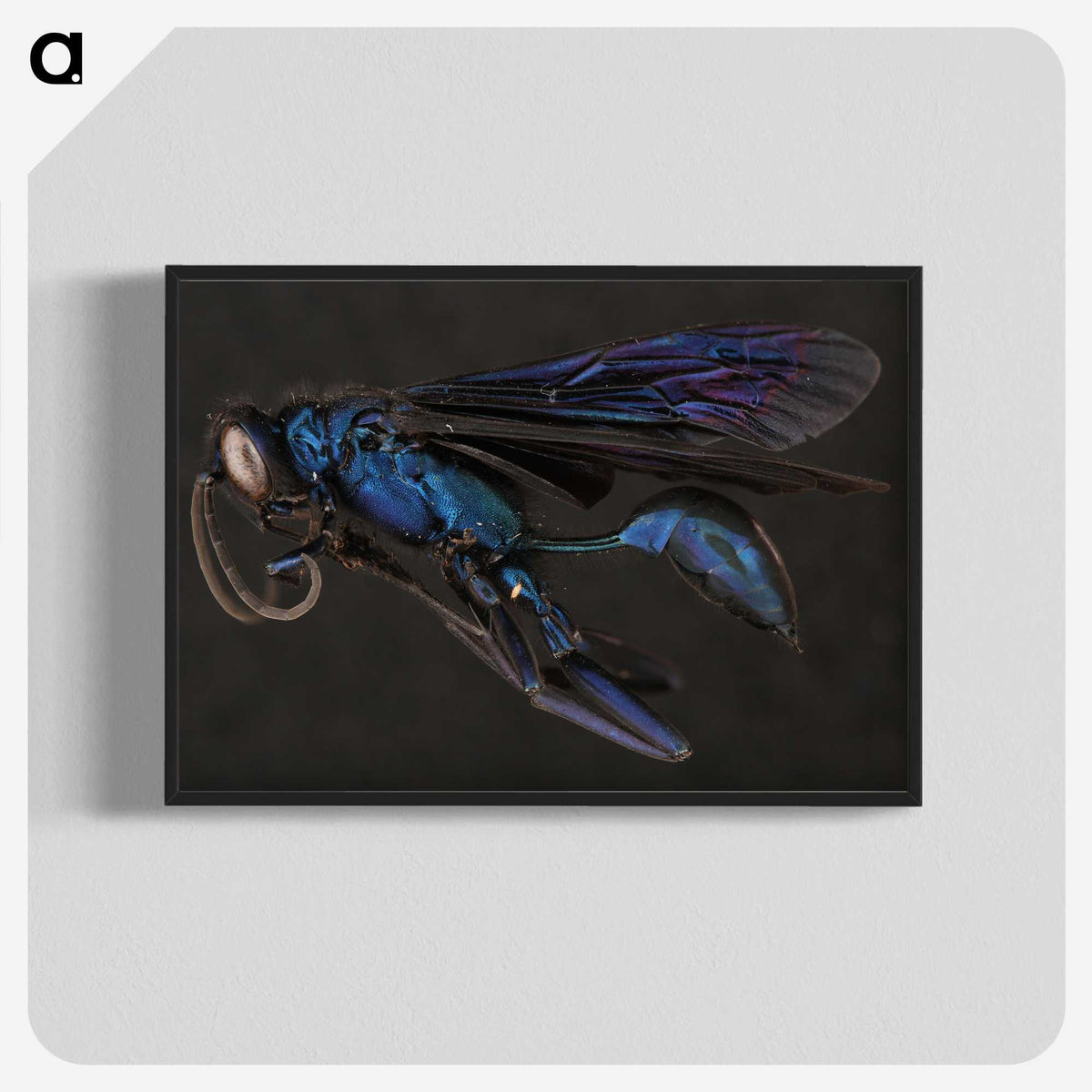 1-77_Insects-Unlocked-Project_blk-crop