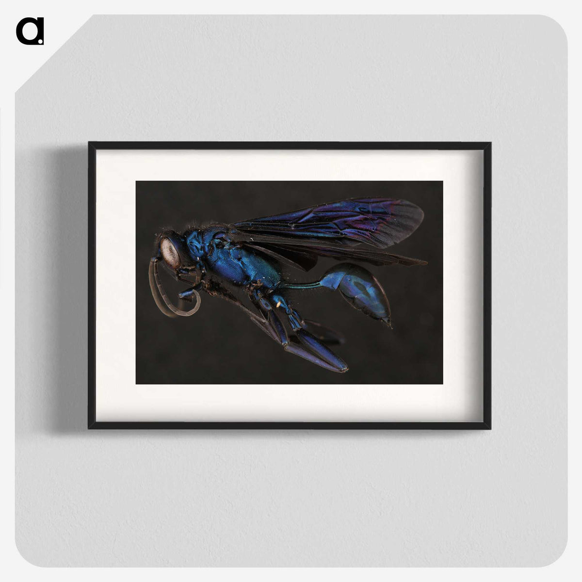 1-77_Insects-Unlocked-Project_blk