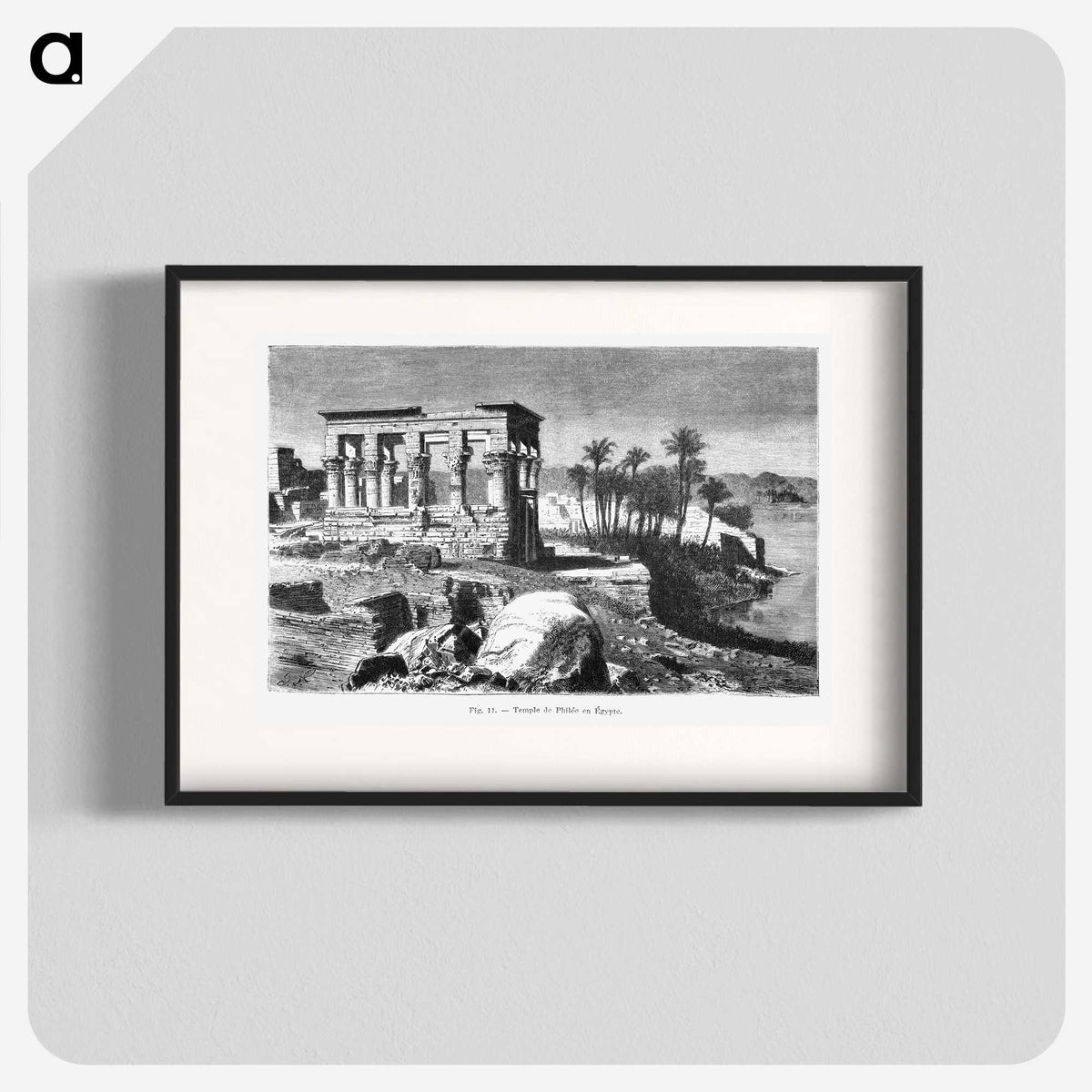 1-77_Les-Palmiers-Histoire-Iconographique_blk