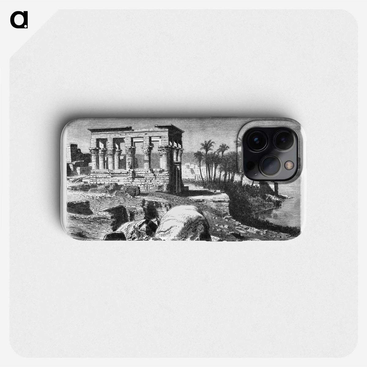 1-77_Les-Palmiers-Histoire-Iconographique_phone