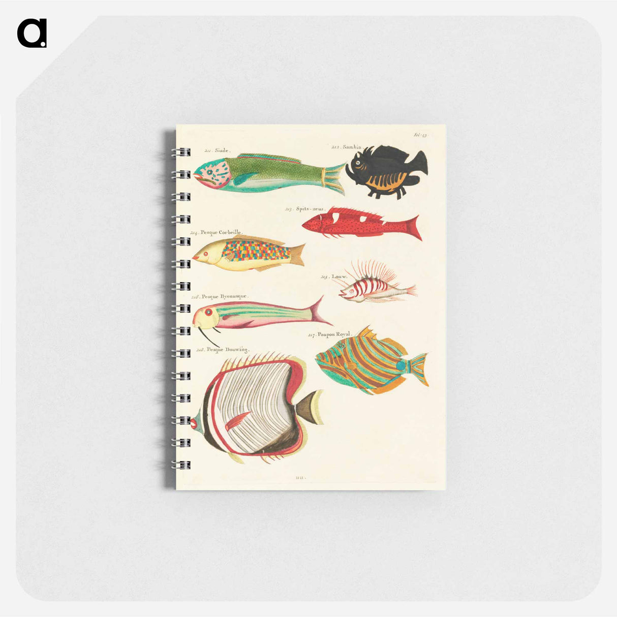 Moluccan Fishes
- ルイ ルナール Memo.