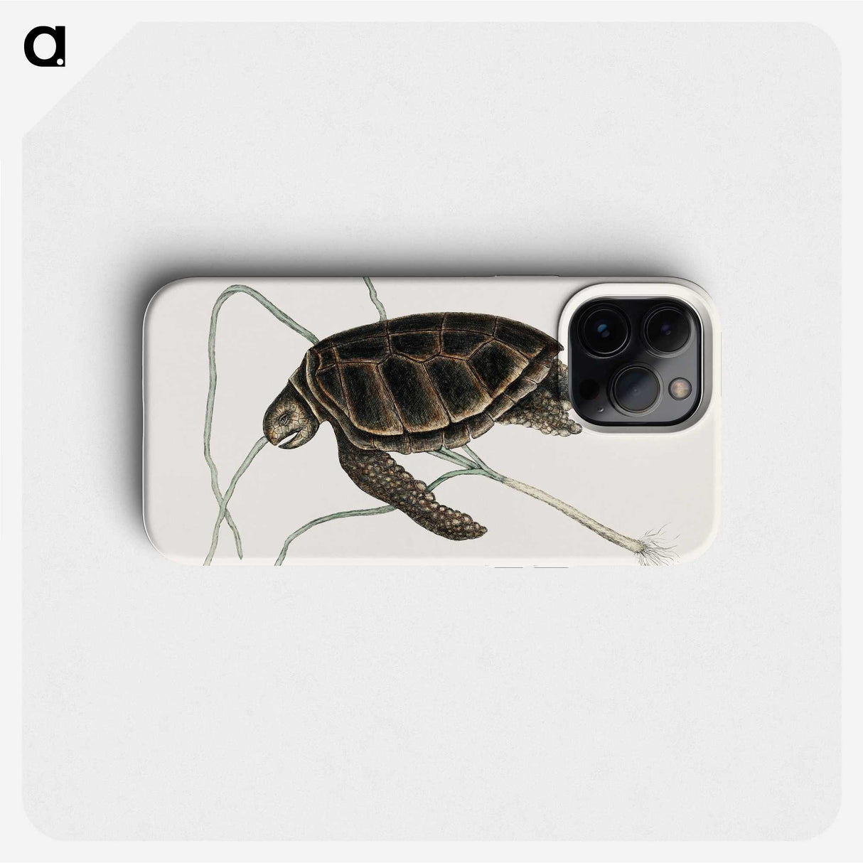 1-77_Mark-Catesby_phone