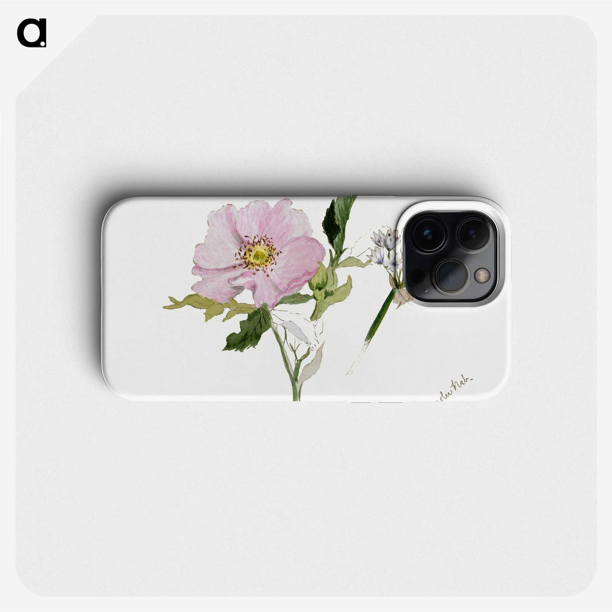 1-77_Mary-Vaux-Walcott_phone