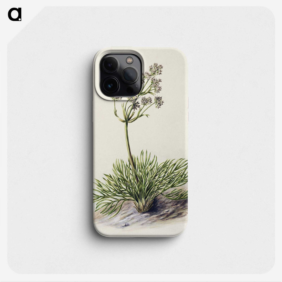 1-77_Native-Flowering-Plants-of-New-Zealand_phone