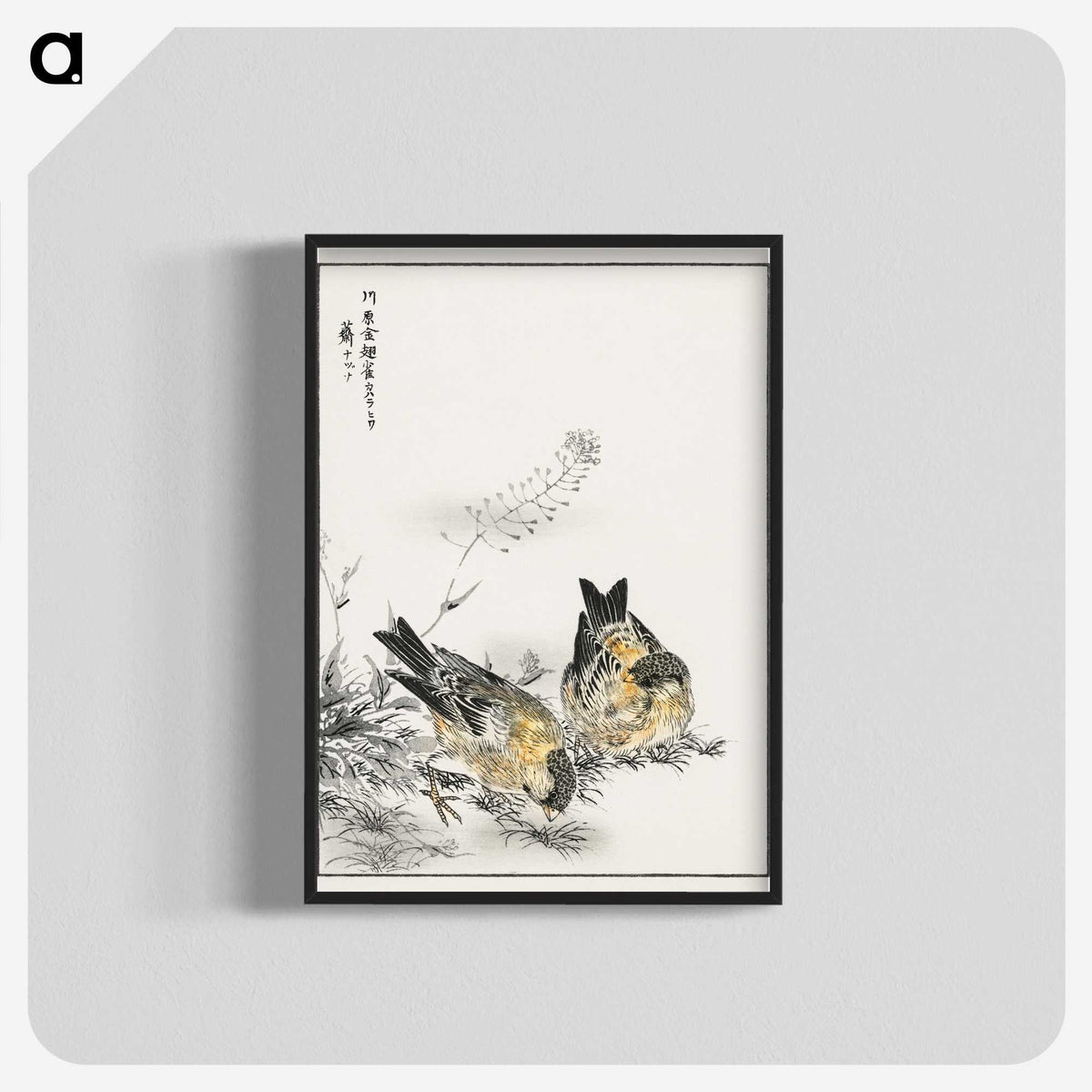 1-77_Pictorial-Monograph-of-Birds_blk-crop