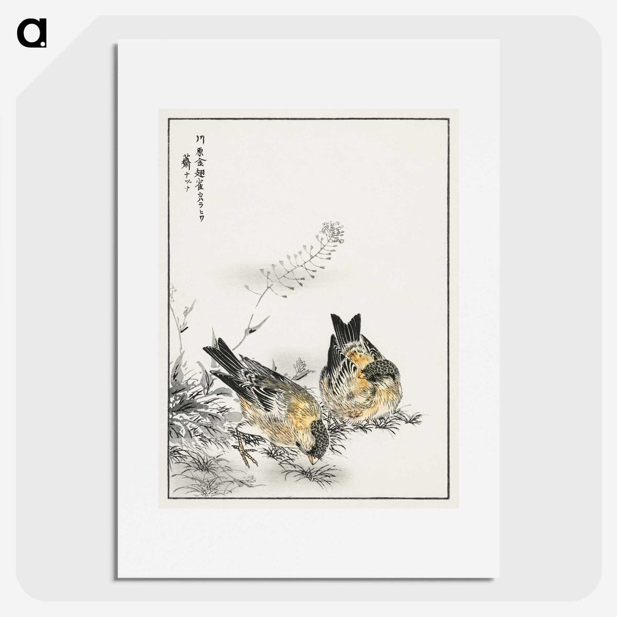 1-77_Pictorial-Monograph-of-Birds_picture