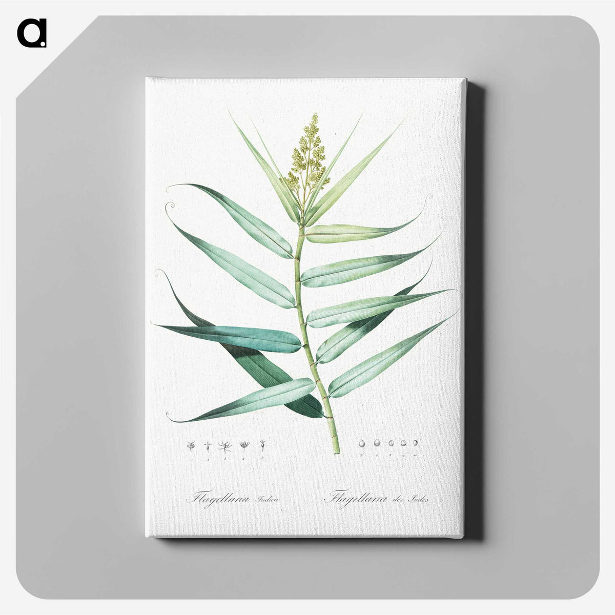 1-77_The-Lilies_canvas