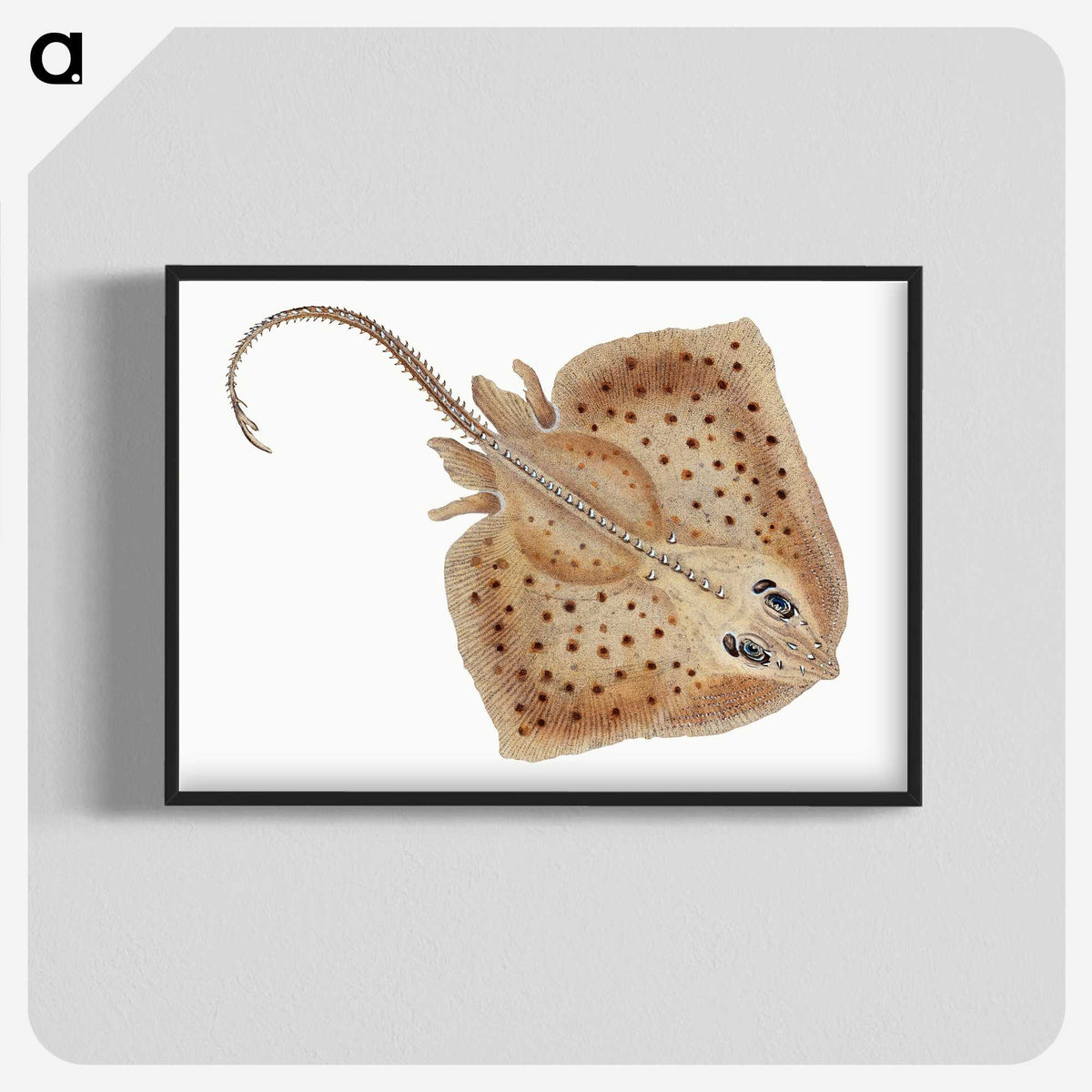 1-77_The-Natural-History-of-British-Fishes_blk-crop