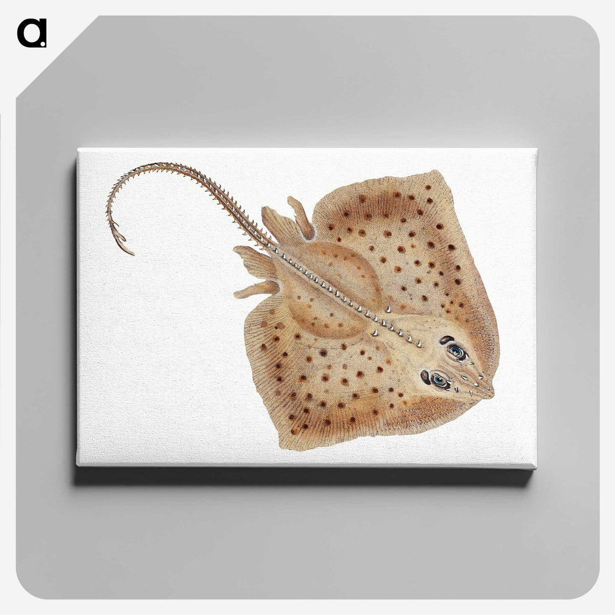1-77_The-Natural-History-of-British-Fishes_canvas