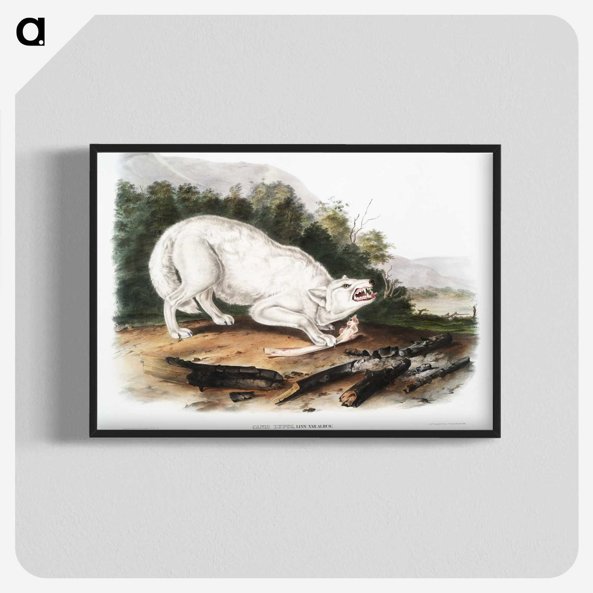 1-77_The-Viviparous-Quadrupeds_blk-crop