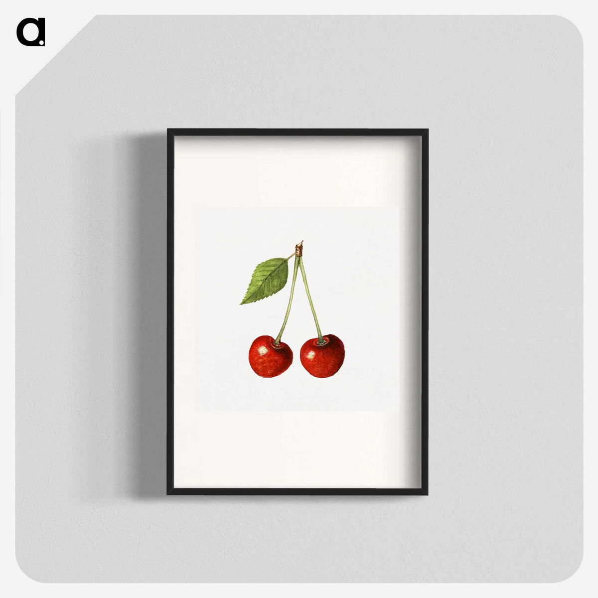 1-77_USDA-Watercolor-Fruit-Painting-Collection_blk