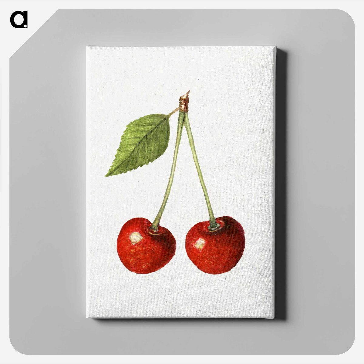 1-77_USDA-Watercolor-Fruit-Painting-Collection_canvas