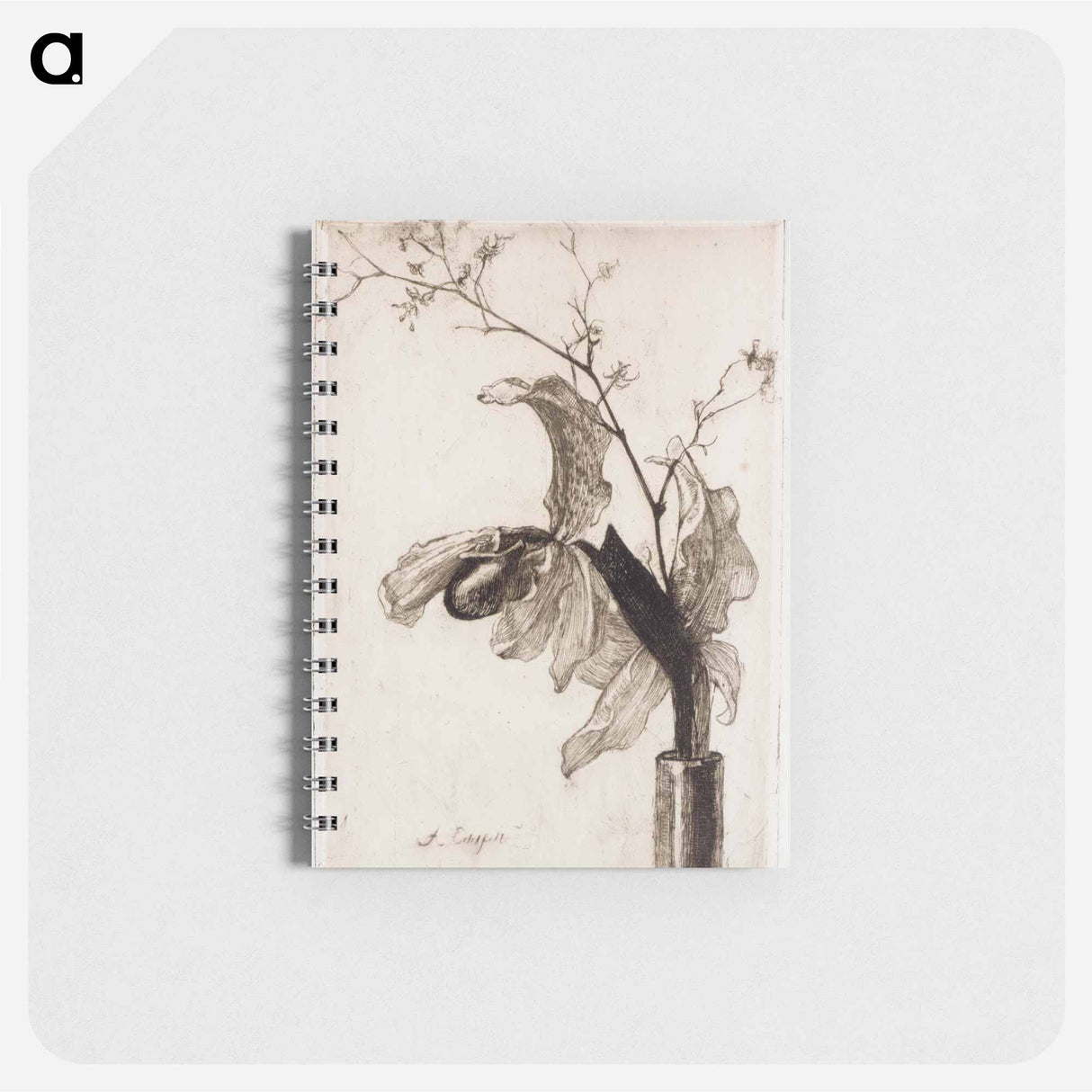 Orchid in a vase - アルバート エーデルフェルト Memo.