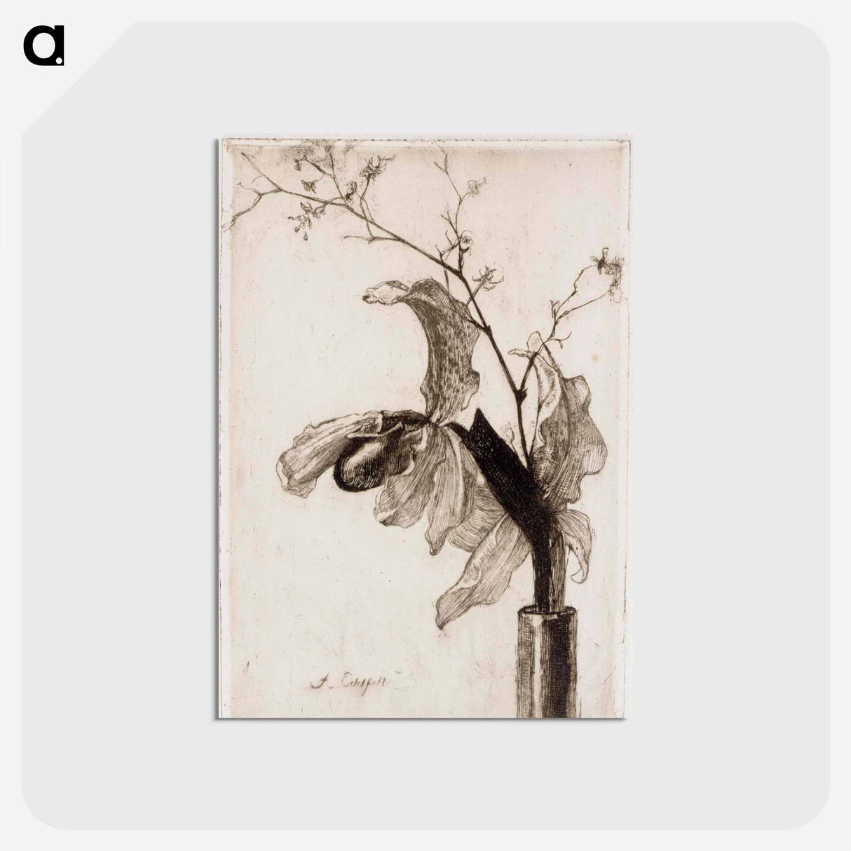 Orchid in a vase - アルバート エーデルフェルト Postcard.