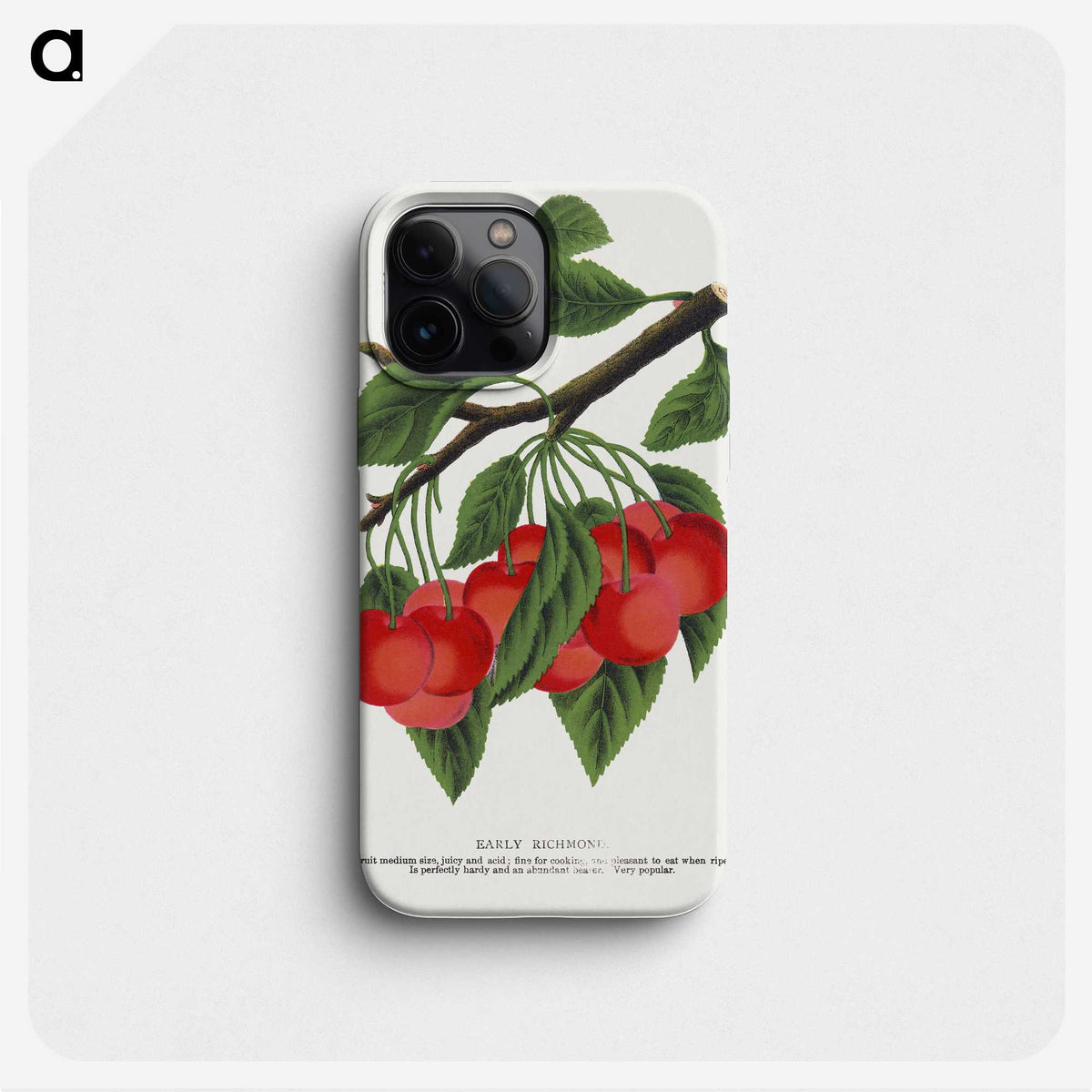 1-78_Botanical-Specimen-Plates_phone