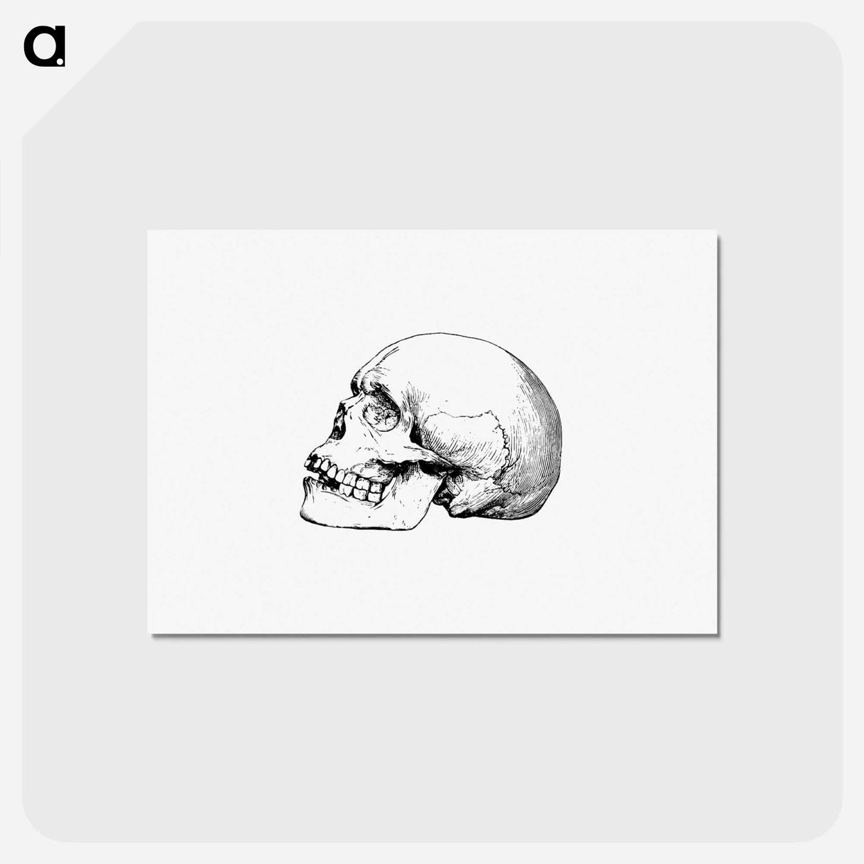 アートポストカード-Skull from Voyages and Adventures in Equatorial Africa
- 大英図書館 Postcard.