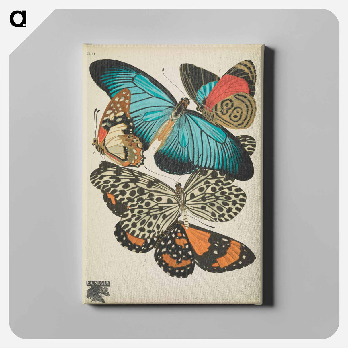 E.A. Séguy's vintage butterflies insect illustration - E.A.セギー Canvas.