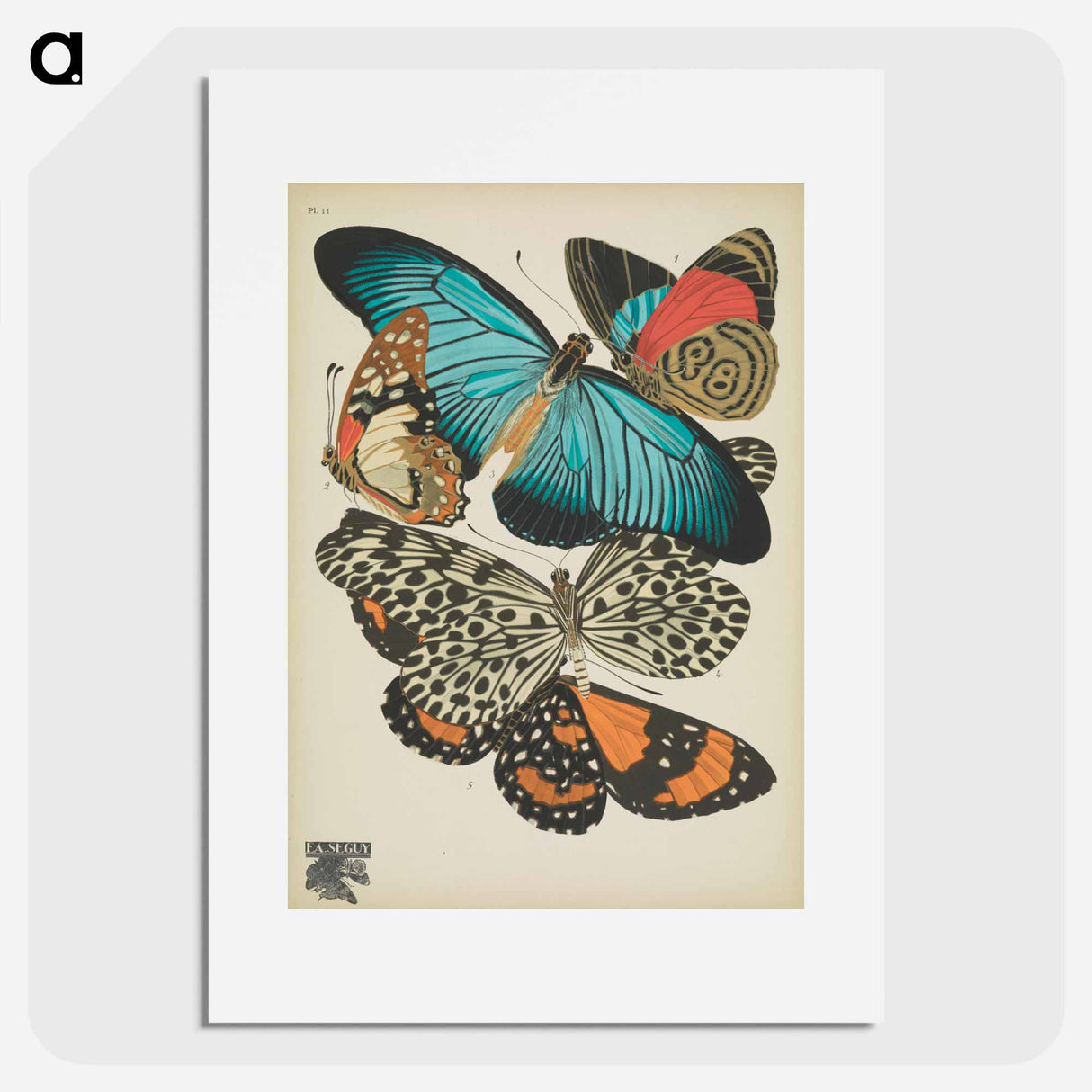 E.A. Séguy's vintage butterflies insect illustration - E.A.セギー Poster.