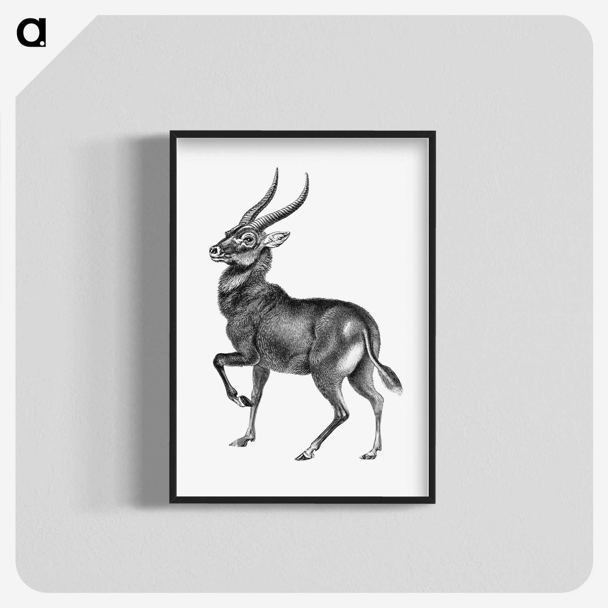 1-78_Ernst-Haeckel_blk-crop