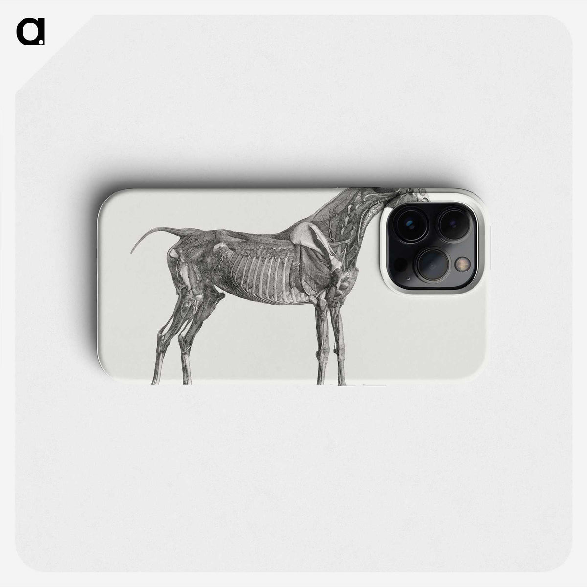 1-78_George-Stubbs_phone