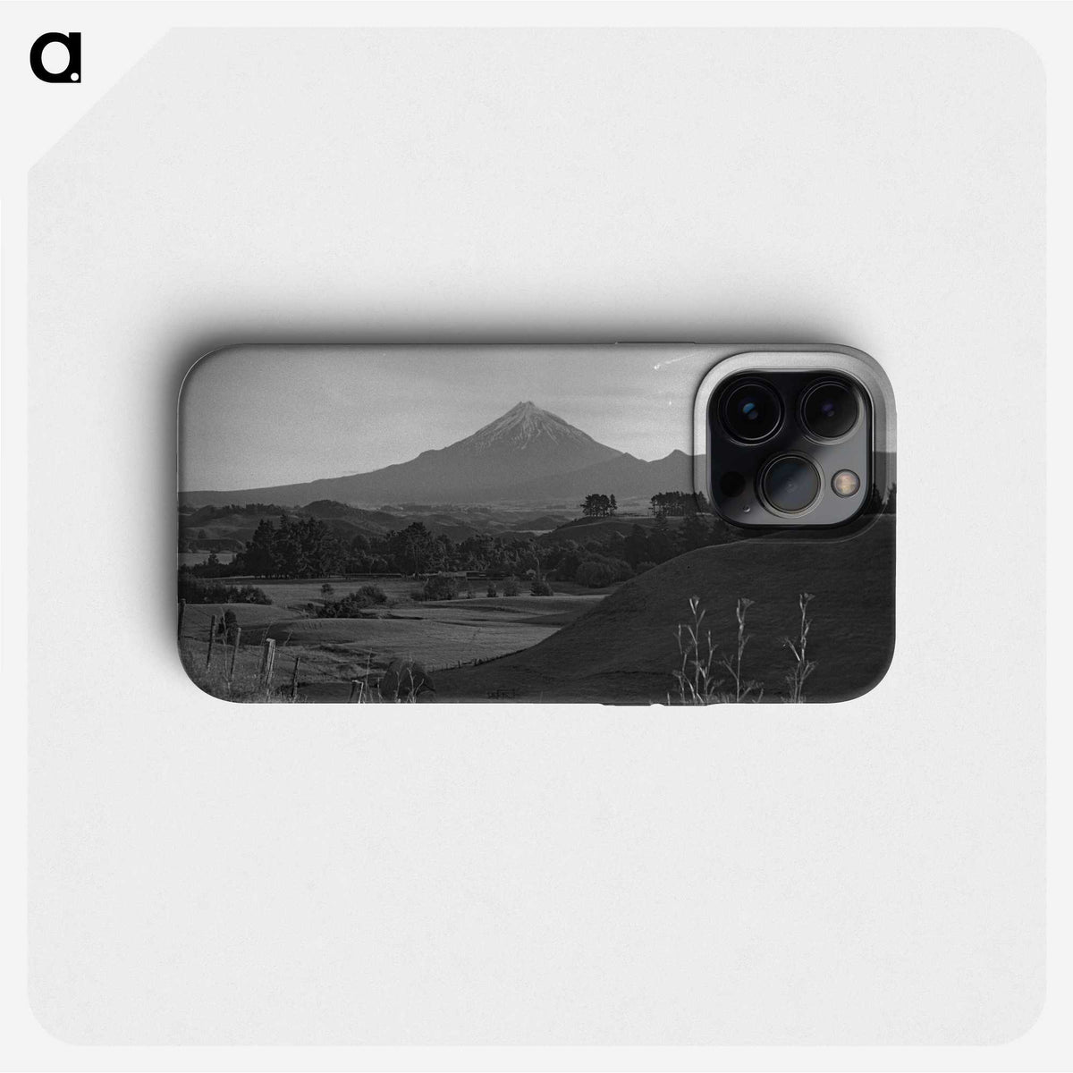 1-78_James-Walter-Chapman-Taylor_phone
