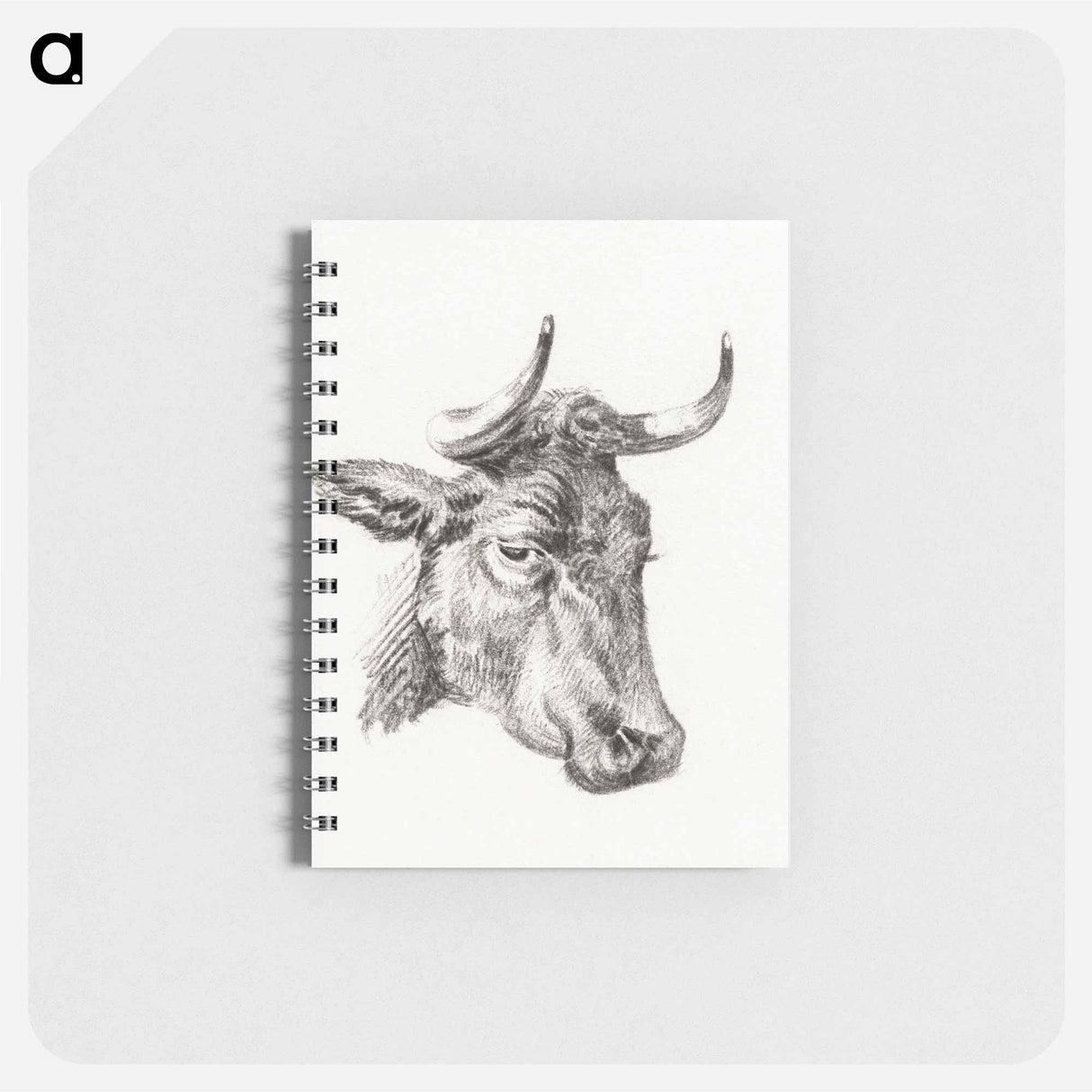 Head of a cow - ジャン ベルナール Memo.