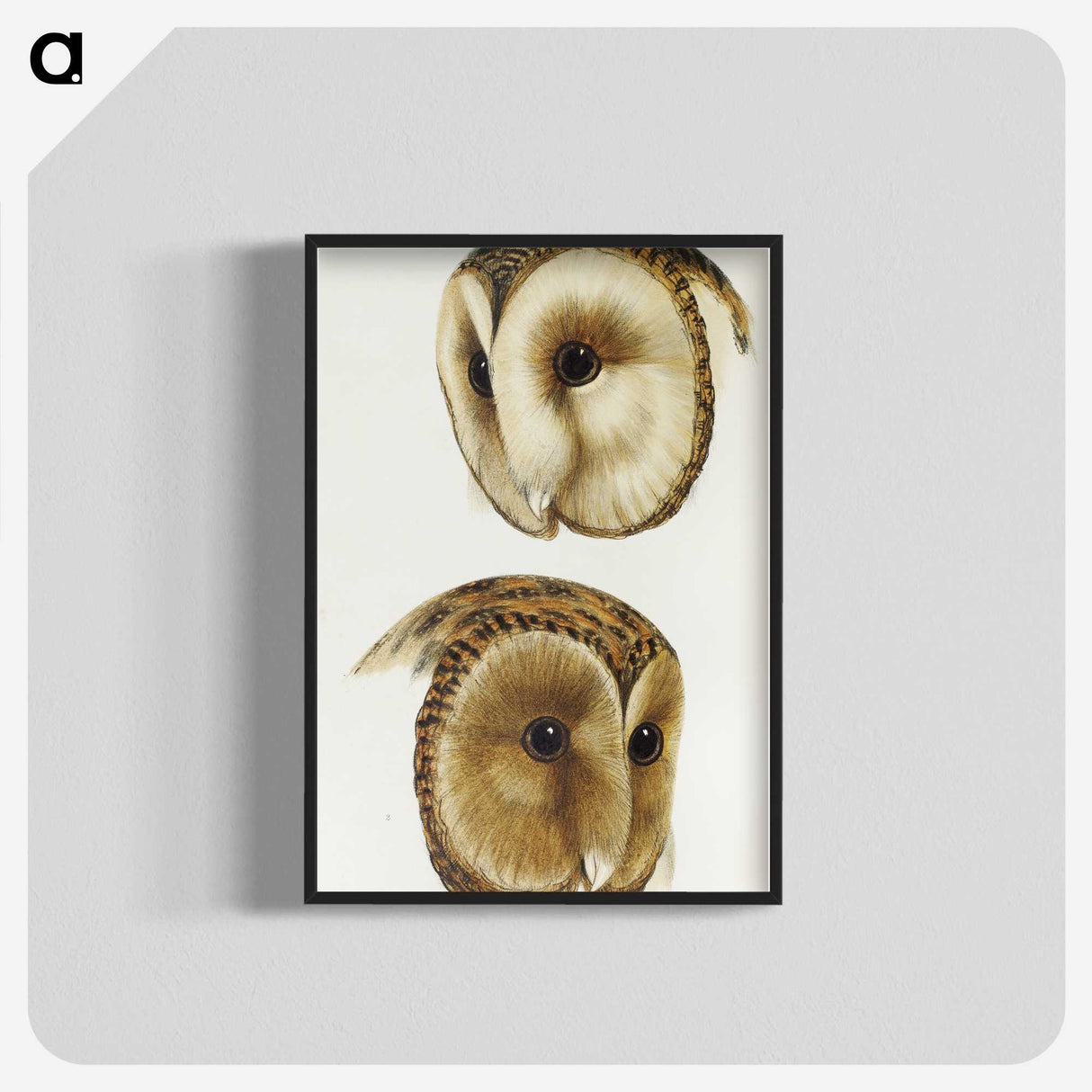 1-78_John-Gould_blk-crop