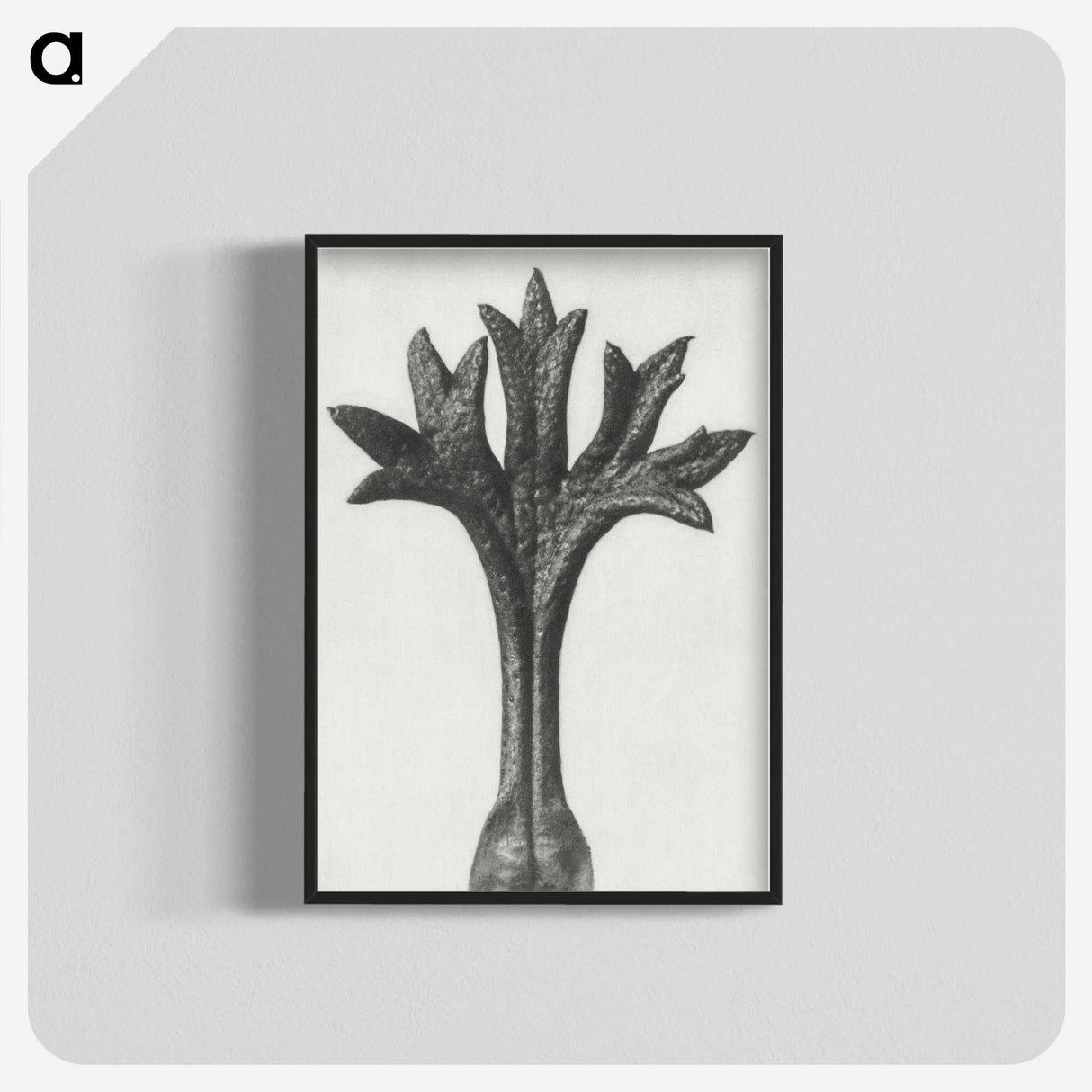 1-78_Karl-Blossfeldt_blk-crop