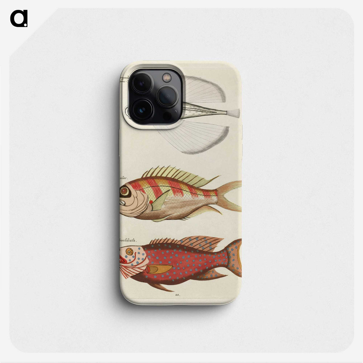 1-78_Louis-Renard_phone