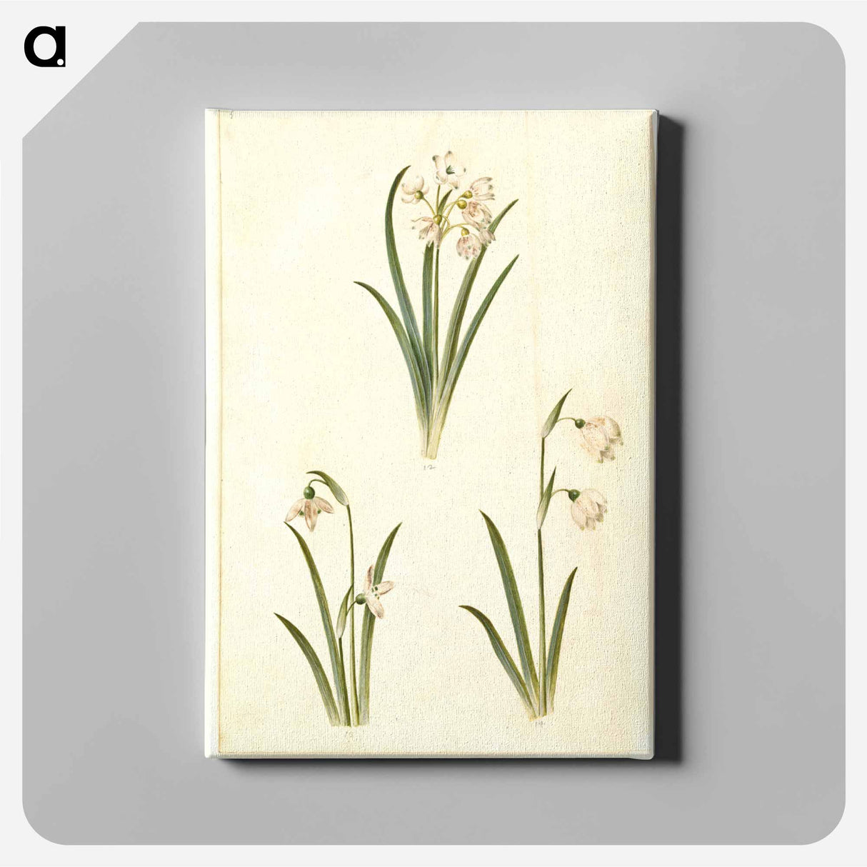 アートパネル-Spring Blooms
- マリア ジビーラ メーリアン Canvas.