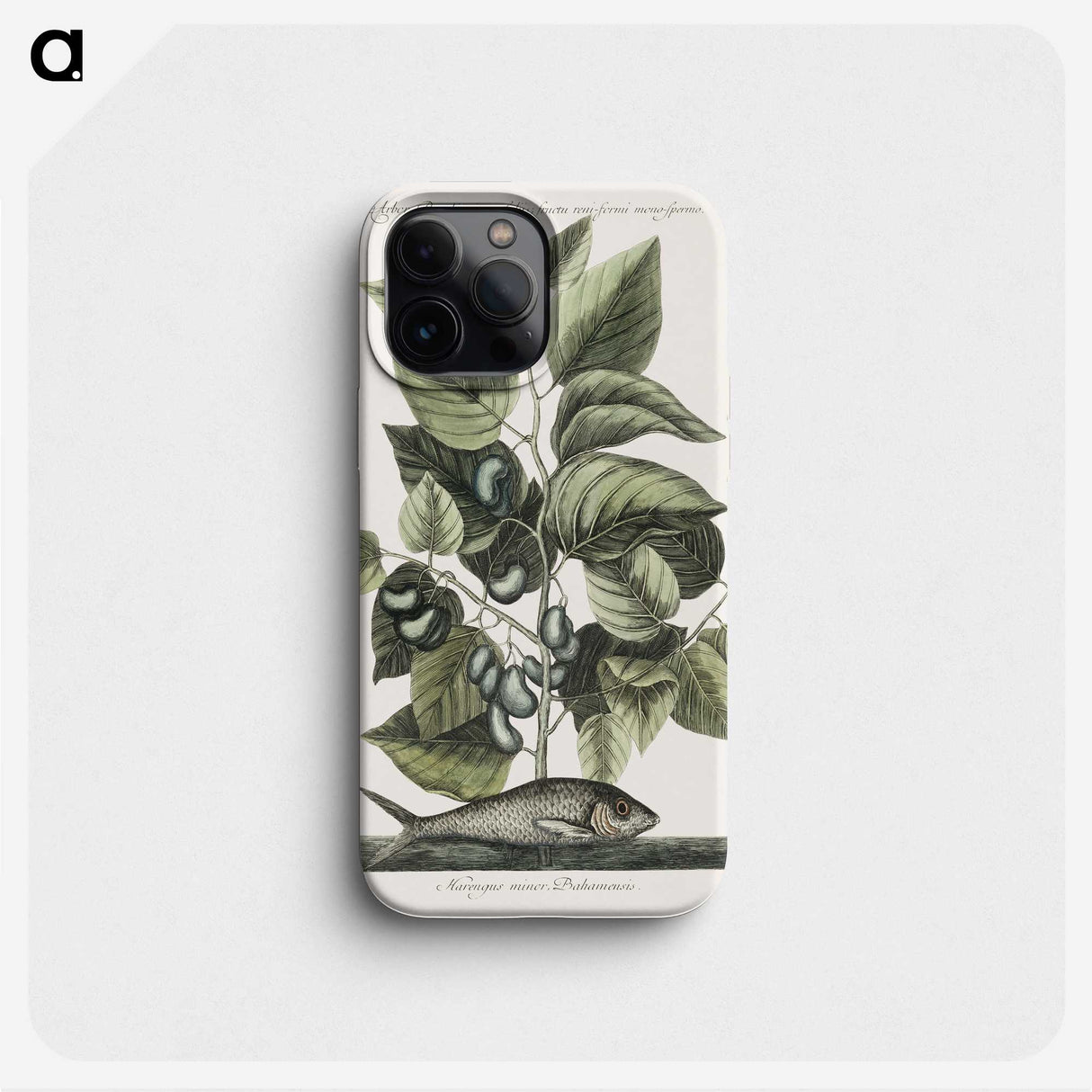 1-78_Mark-Catesby_phone