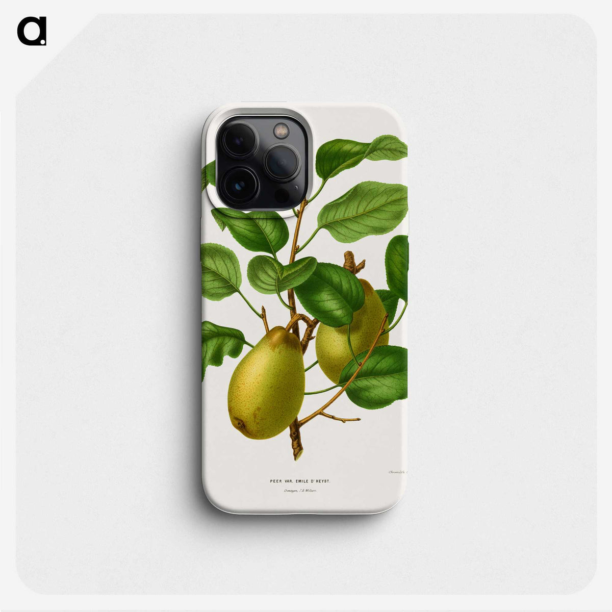 1-78_Nederlandsche-Flora-en-Pomona_phone