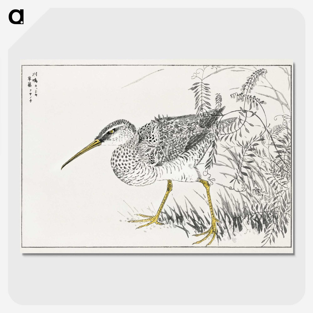 1-78_Pictorial-Monograph-of-Birds_picture-crop