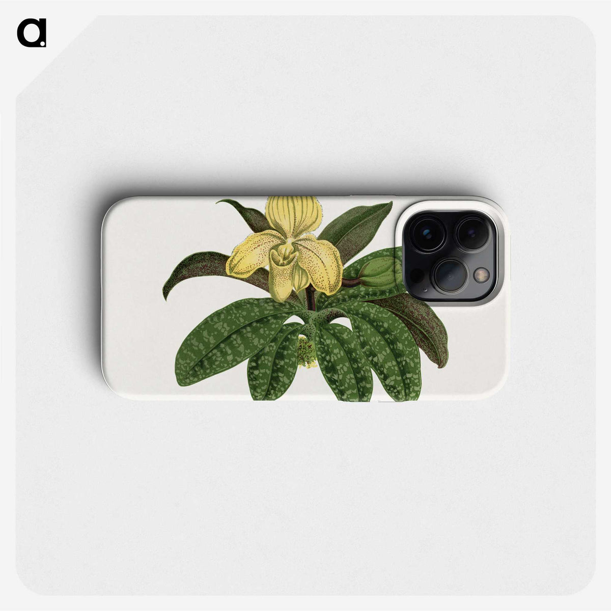 1-78_Plants-with-Colored-Foliage_phone