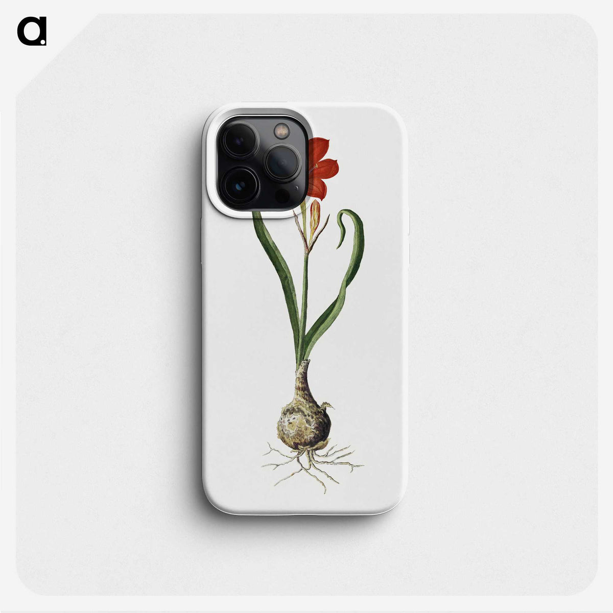 1-78_Robert-Jacob-Gordon_phone