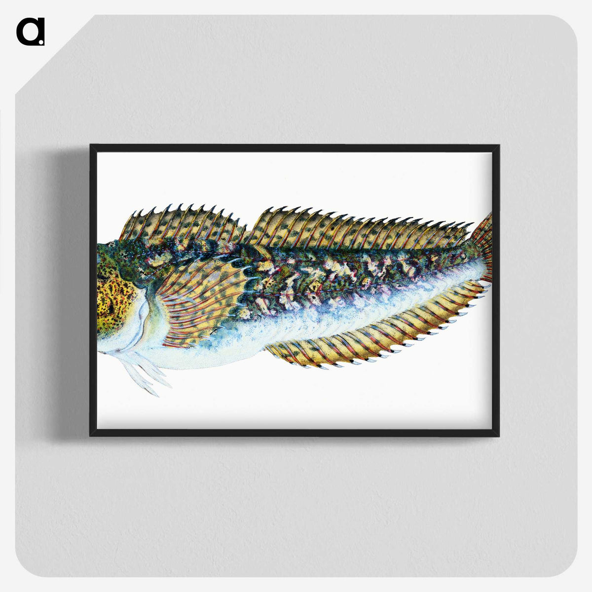 1-78_The-Natural-History-of-British-Fishes_blk-crop