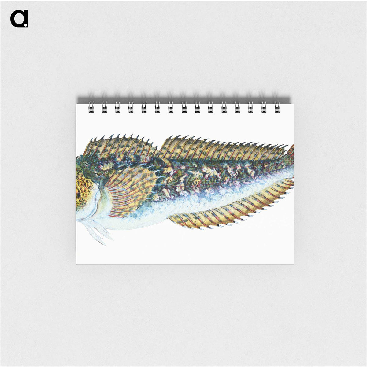 1-78_The-Natural-History-of-British-Fishes_memo