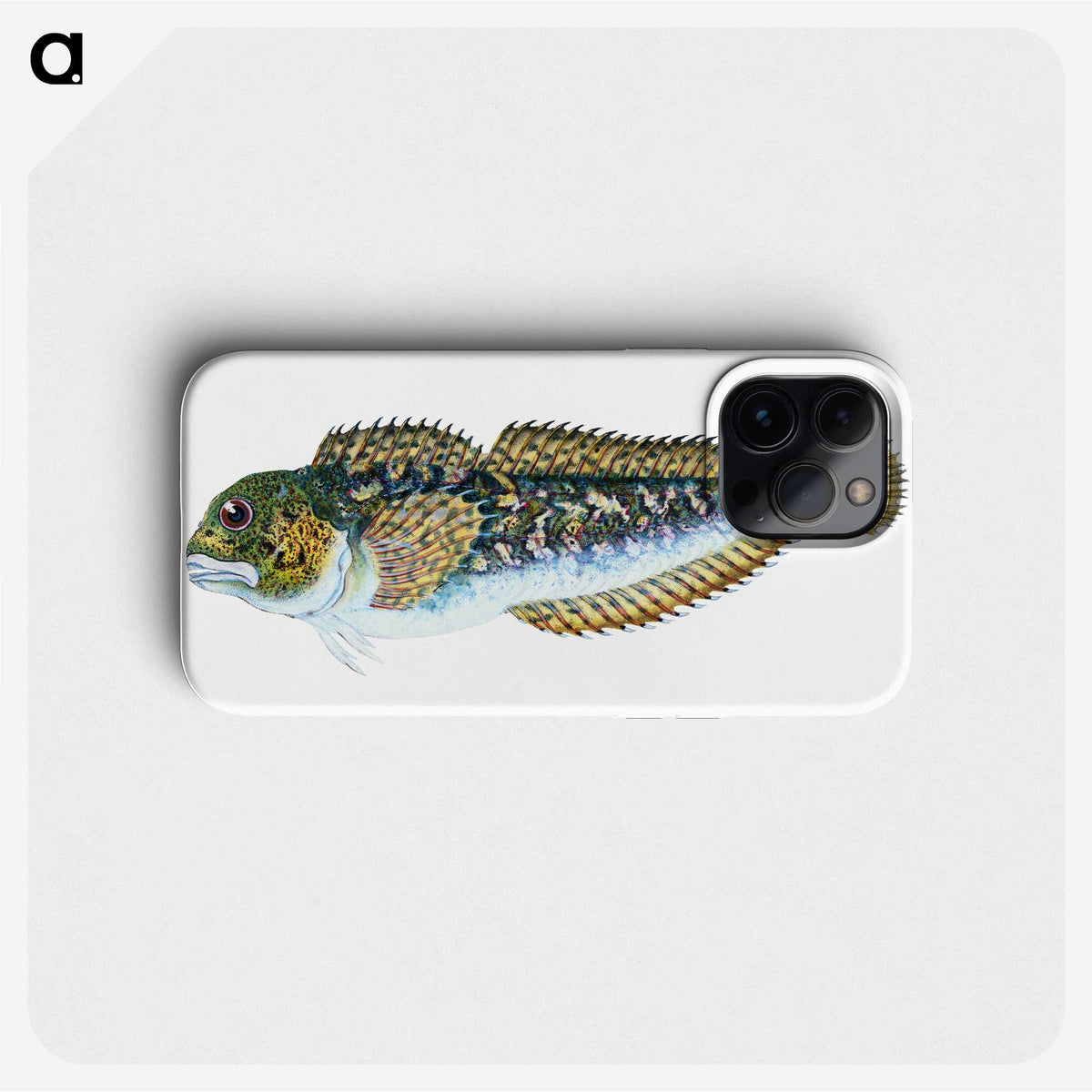 1-78_The-Natural-History-of-British-Fishes_phone